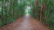 02 - Everglade NP (6)